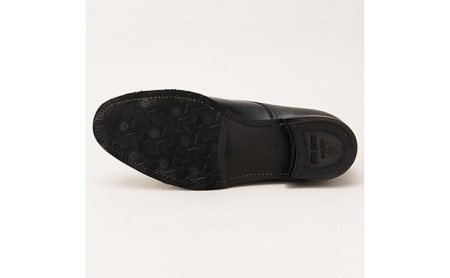 スコッチグレイン紳士靴「シャインオアレイン4Eウィズ」NO.4224 26.0cm 