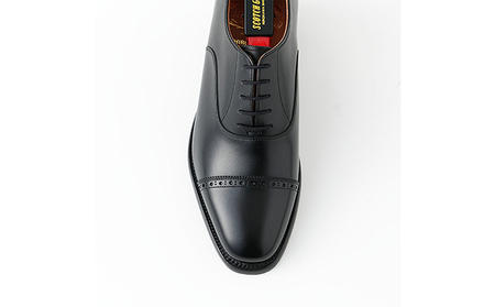 スコッチグレイン 紳士靴 「アシュランス」 NO.3536 メンズ 靴 シューズ ビジネス ビジネスシューズ 仕事用 ファッション パーティー フォーマル 26.5cm