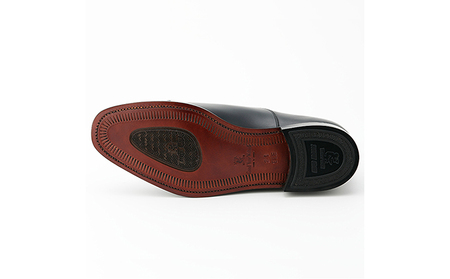 スコッチグレイン 紳士靴 「アシュランス」 NO.3536 メンズ 靴 シューズ ビジネス ビジネスシューズ 仕事用 ファッション パーティー フォーマル 25.5cm