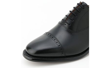 スコッチグレイン 紳士靴 「アシュランス」 NO.3536 メンズ 靴 シューズ ビジネス ビジネスシューズ 仕事用 ファッション パーティー フォーマル 25.5cm