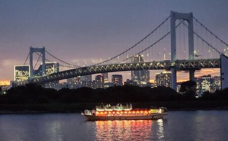 スタンダードコース屋形船ペアチケット 東京 チケット 屋形船 体験 利用券 利用チケット 経験 ペア 食事付き 墨田区 東京都