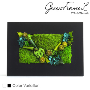 グリーンフレームL 花 お花 プリザーブドフラワー ギフト プレゼント お祝い 誕生日 お供え アレンジ インテリア 東京都 墨田区 黒フレーム