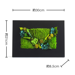 グリーンフレームL 花 お花 プリザーブドフラワー ギフト プレゼント お祝い 誕生日 お供え アレンジ インテリア 東京都 墨田区 黒フレーム