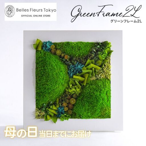 グリーンフレーム２L 花 お花 プリザーブドフラワー ギフト プレゼント お祝い 誕生日 お供え アレンジ インテリア 東京都 墨田区 白フレーム