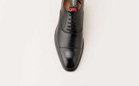 スコッチグレイン 紳士靴 「オデッサ」 NO.916 メンズ 靴 シューズ ビジネス ビジネスシューズ 仕事用 ファッション パーティー フォーマル 24.5cm