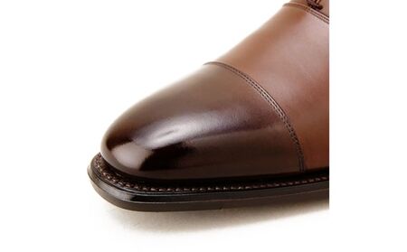 スコッチグレイン 紳士靴 「オデッサ」 NO.916DBR メンズ 靴 シューズ ビジネス ビジネスシューズ 仕事用 ファッション パーティー フォーマル 25.0cm