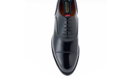 スコッチグレイン 紳士靴 ふるさと納税限定品 「フィオレット」 FI2221 メンズ 靴 シューズ ビジネス ビジネスシューズ 仕事用 ファッション パーティー フォーマル 26.0cm