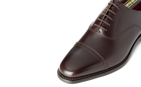 スコッチグレイン紳士靴「アシュランス」NO.3536 CHO　メンズ 靴 シューズ ビジネス ビジネスシューズ ファッション小物 丈夫 合わせやすい 滑りにくい  24.5cm