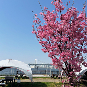 BBQ場施設使用券(電子クーポン券3,000円分) 【kt066-001】ﾁｹｯﾄ