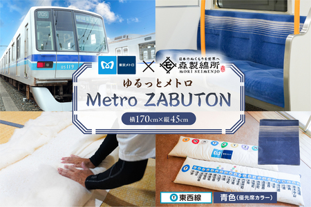 おうちでゆるっとメトロ（170×45cm・東西線：青色）【kt031-009-3】