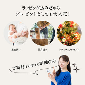 おむつケーキ ブランケット：ブルー（おむつS）【kt045-005-1】