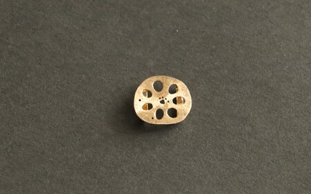 レンコン-パッド帯留め(金)【kt059-004-1】