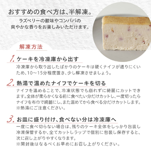 Mr. CHEESECAKE Raspberry Lime / Bag (ミスターチーズケーキ ラズベリーライム/バッグ)