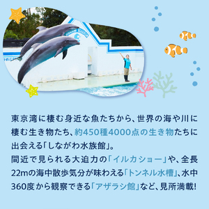 しながわ水族館ペア入館券