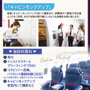 フライトシミュレーター操縦体験30分コース