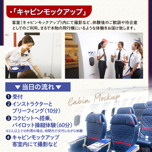 フライトシミュレーター操縦体験70分コース