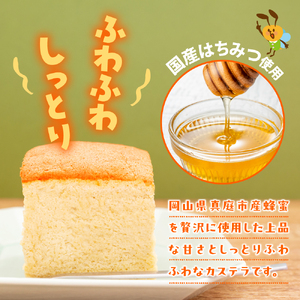 立会川りょうくんカステラ 5個入り