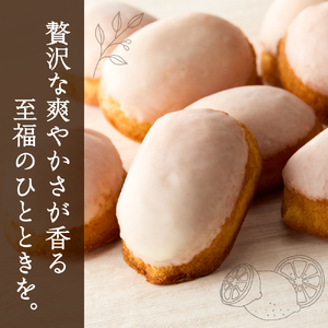 レモンケーキ10個セット