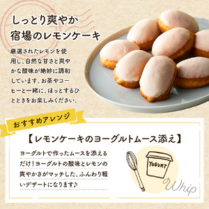 レモンケーキ10個セット