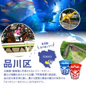 HISふるさと納税宿泊予約専用クーポン（東京都品川区）3,000円分