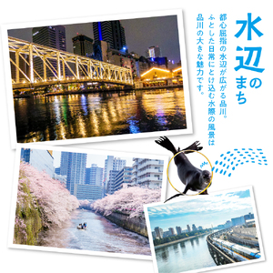 HISふるさと納税宿泊予約専用クーポン（東京都品川区）6,000円分