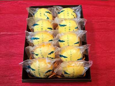 しながわみやげ　しながわ観光協会認定商品　品川菓匠　孝庵　しながわ満月（10個入り）