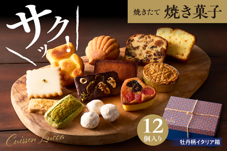 『牡丹柄イタリア箱』12個入詰合せ