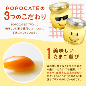 POPOCATEプリン　ベーシックセット