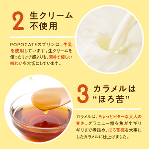 POPOCATEプリン　ベーシックセット