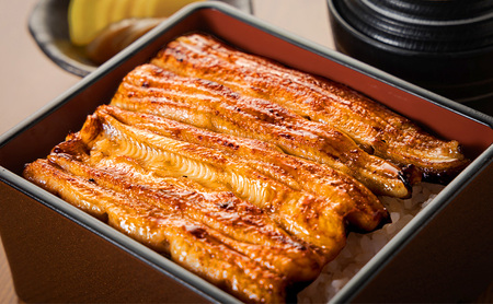 うなぎ ブランドうなぎ「藍乃星」二枚 鰻 ウナギ 蒲焼 専門店 お取り寄せ 藍乃星 養殖鰻 上品な味わい 手焼き 上質 大田区 東京都