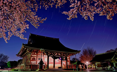 【電子クーポン券】 大田区に泊まる ふるさと納税 旅行クーポン 【9,000円分】 有効期限：発行から1年間 旅行 ツアー 宿泊 観光 国内 チケット 割引券 クーポン 利用券 電子 トラベル 日本空輸  都内 東京 大田区