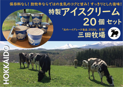 アイス 三田牧場 特製 アイスクリーム 4種類 20個 セット ミルク チョコレート いちごミルク ラムレーズン お菓子 スイーツ 詰め合わせ
