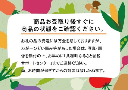【先行予約】メロン 北海道 共和町産 らいでんメロン 青肉 5玉 セット フルーツ 果物 産地直送 JAきょうわ 果実 メロン青肉 （2026年8月下旬～9月上旬発送）