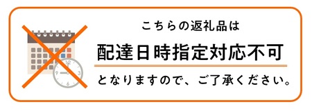 【先行予約】メロン 北海道 共和町産 らいでんメロン 青肉 5玉 セット フルーツ 果物 産地直送 JAきょうわ 果実 メロン青肉 （2026年8月下旬～9月上旬発送）