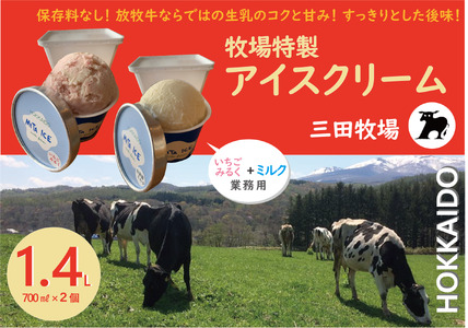 ミタアイス業務用2個入りセット アイス 三田牧場 1.4L 自家製ミルク 1個＋いちごみるく 1個 お菓子 