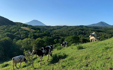 ミタアイス業務用2個入りセット アイス 三田牧場 1.4L 自家製ミルク 1個＋いちごみるく 1個 お菓子 