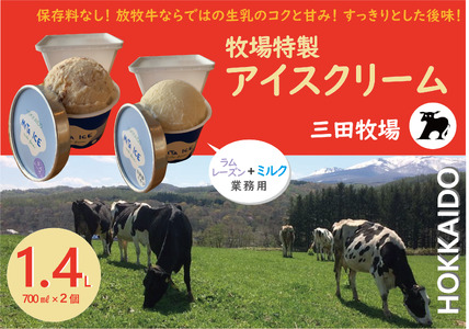 ミタアイス業務用2個入りセット アイス 三田牧場 1.4L 自家製ミルク 1個＋ラムレーズン 1個 お菓子 