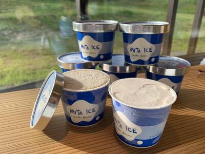 アイス 三田牧場 特製 アイスクリーム 10個 セット ミルク チョコレート いちごミルク ラムレーズン 抹茶 お菓子