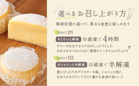 【INFINI】チーズケーキKANKAN【濃厚 チーズケーキ テリーヌ 柑橘 デザート 冷凍 スイーツ ギフト 贈り物 プレゼント 人気 おやつ ご褒美 絶品 】_0004-002-se4