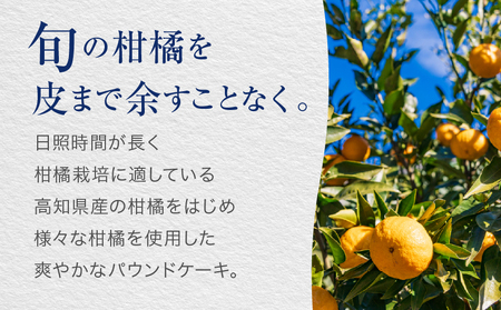 【INFINI】 ケークシトロン 【国産 レモンケーキ パウンドケーキ 爽やか しっとり濃厚 上品な甘さ 贅沢 ティータイム 贈り物 洋菓子 スイーツ デザート お取り寄せ】_0004-003-se4