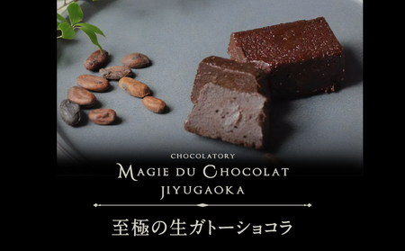 チョコレート専門店「MAGIE DU CHOCOLAT」至極の生ガトーショコラ【スイーツ チョコレート チョコレート菓子 焼き菓子 ガトーショコラ 生ガトーショコラ 濃厚 とろける 人気 おすすめ ギフト プレゼント 贈り物 ご褒美 贅沢】_0010-003-se4