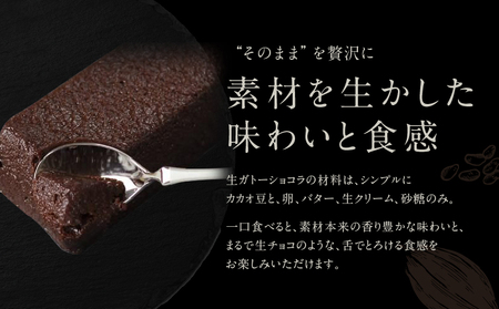 チョコレート専門店「MAGIE DU CHOCOLAT」至極の生ガトーショコラ【スイーツ チョコレート チョコレート菓子 焼き菓子 ガトーショコラ 生ガトーショコラ 濃厚 とろける 人気 おすすめ ギフト プレゼント 贈り物 ご褒美 贅沢】_0010-003-se4