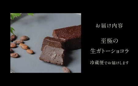 チョコレート専門店「MAGIE DU CHOCOLAT」至極の生ガトーショコラ【スイーツ チョコレート チョコレート菓子 焼き菓子 ガトーショコラ 生ガトーショコラ 濃厚 とろける 人気 おすすめ ギフト プレゼント 贈り物 ご褒美 贅沢】_0010-003-se4