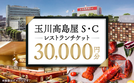 【世田谷区ふるさと納税限定】玉川高島屋S・Cレストランチケット(30,000円分)/ 東京 食事券 お食事券 レストラン ランチ ディナー【高島屋選定品】_0012-1-005-se4