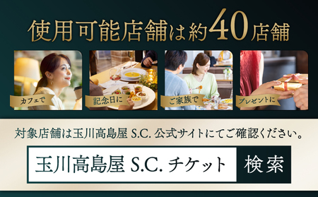 【世田谷区ふるさと納税限定】玉川高島屋S・Cレストランチケット(30,000円分)/ 東京 食事券 お食事券 レストラン ランチ ディナー【高島屋選定品】_0012-1-005-se4