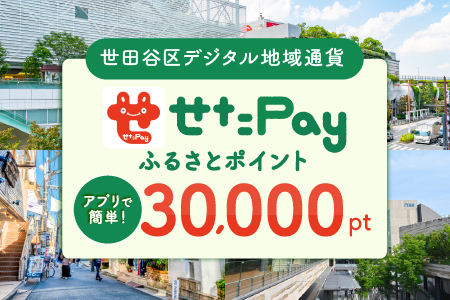 世田谷区 地域通貨 せたがやPay ふるさとポイント 30,000pt（1pt＝1円）/ せたぺい 東京 宿泊 レストラン 東京都_0018-007-se4