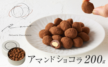 【パティスリーショコラトリーレシィ】アマンドショコラ / チョコレート スイーツ 洋菓子 焼き菓子 詰め合わせ クッキー ギフト プレゼント 贈り物 _0021-003-se5