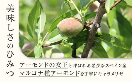 【パティスリーショコラトリーレシィ】アマンドショコラ / チョコレート スイーツ 洋菓子 焼き菓子 詰め合わせ クッキー ギフト プレゼント 贈り物 _0021-003-se5