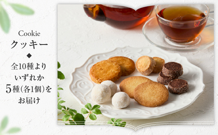 【パティスリーショコラトリーレシィ】フールセックアソートB / スイーツ 焼き菓子  詰め合わせ クッキー 洋菓子_0021-007-se5