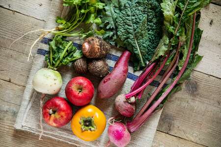 【and CURRY】カレー詰め合わせ5種セット【カレー レトルト 冷凍 スパイス スパイスカレー 小分け おすすめ 無農薬 ギフト 贈り物 】_0023-002-se5